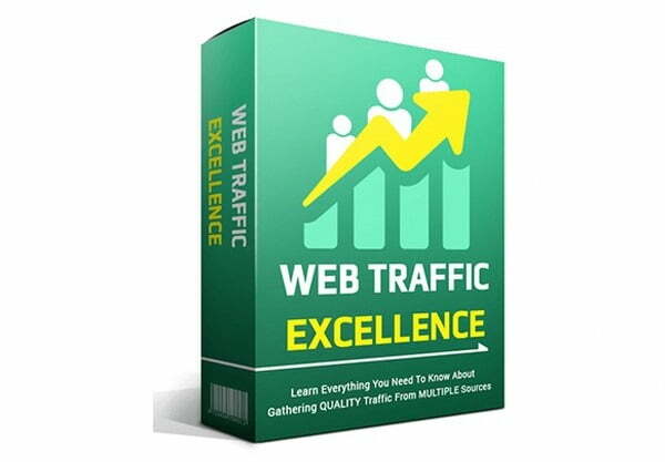 Read more about the article Web Traffic Excellence